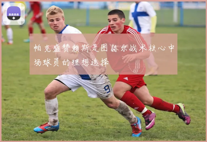 帕克盛赞赖斯是图赫尔战术核心中场球员的理想选择